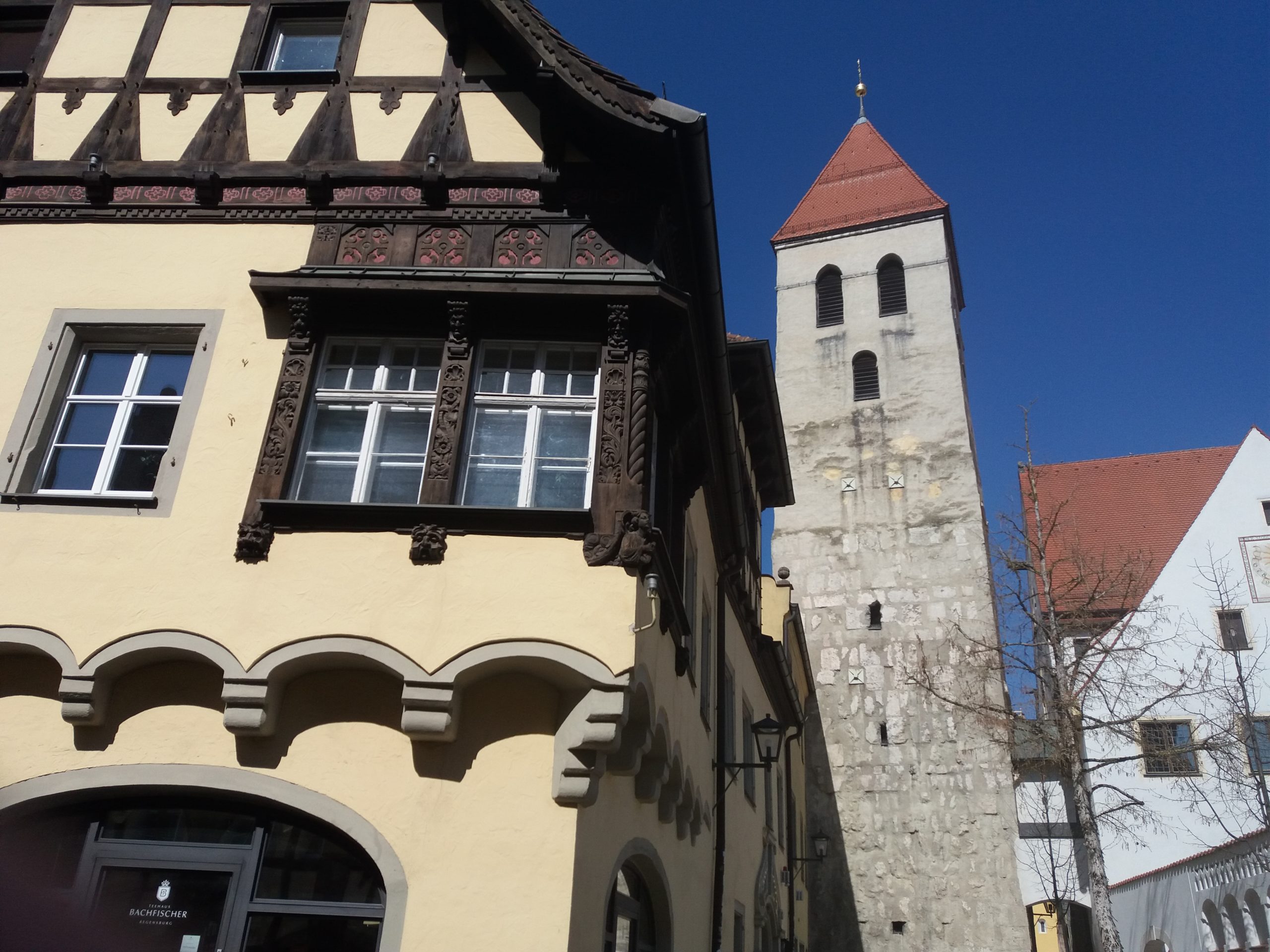 Schwerpunktseminar Bildung der Grünen Jugend